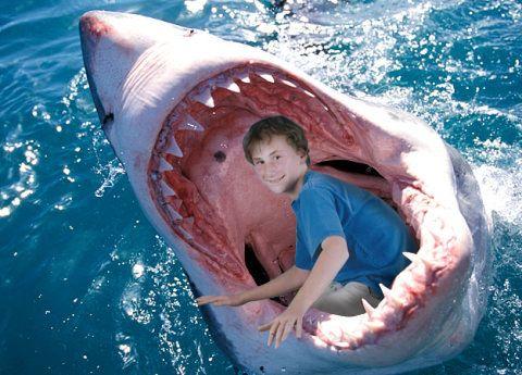 白鲨爆料宝宝视频大全,宝宝成长瞬间，温馨视频大盘点