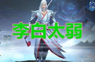 刺客最新爆料,揭秘神秘组织惊天秘密  第3张